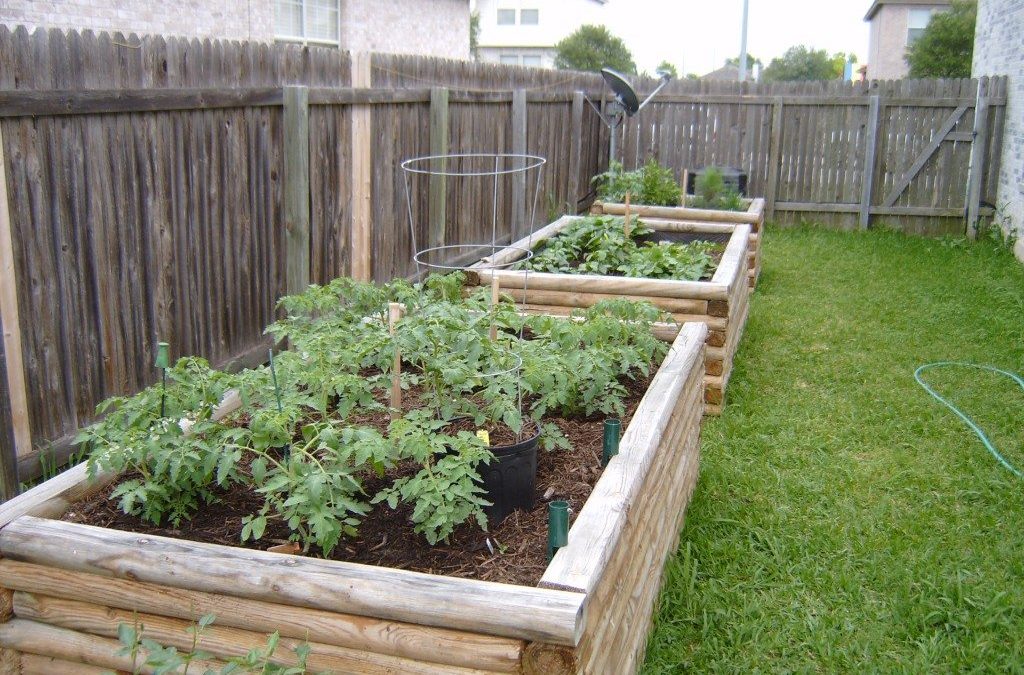 In: Raised Garden Beds  Out: In-Ground Gardens
