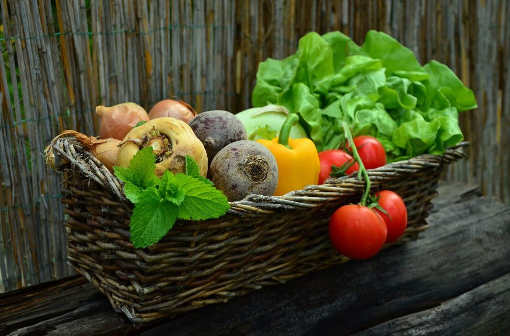 How to Start a Vegetable Garden