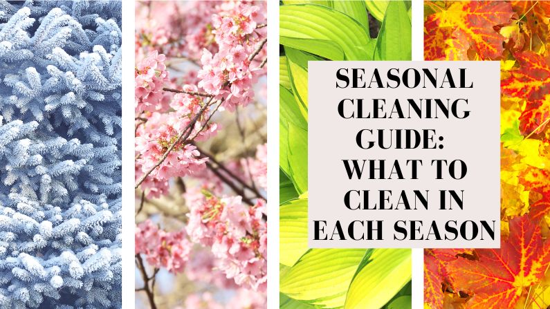 Seasonal Cleaning Guide: What to Clean in Each Season