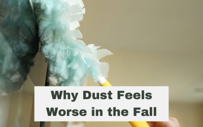 Why Dust Feels Worse in the Fall